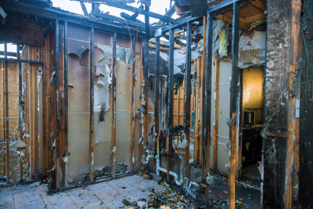 Professional Fire Damage Removal technician working in Mississippi State, MS